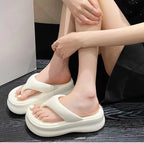 d36a61ea7272e8d7ff90547ddff3036e